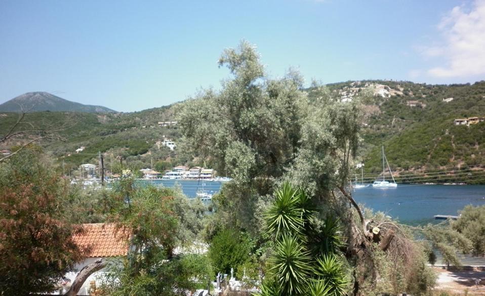 Μπουκαμβίλια - Bougainvillea Σύβοτα Εξωτερικό φωτογραφία