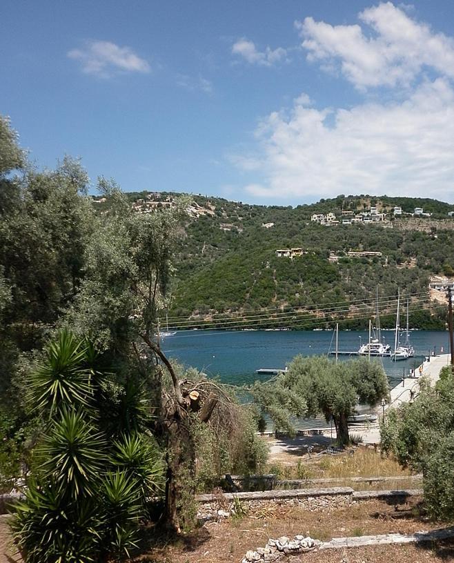 Μπουκαμβίλια - Bougainvillea Σύβοτα Εξωτερικό φωτογραφία
