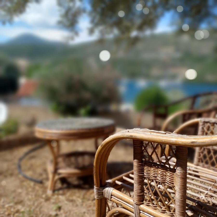 Μπουκαμβίλια - Bougainvillea Σύβοτα Εξωτερικό φωτογραφία