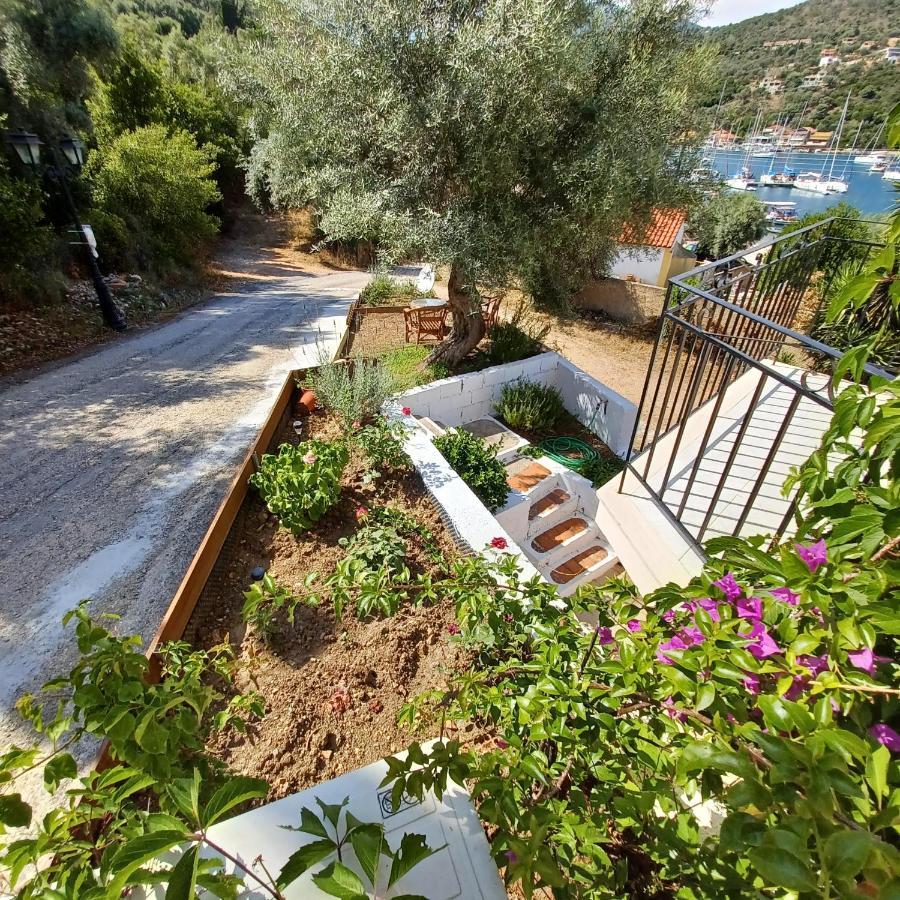 Μπουκαμβίλια - Bougainvillea Σύβοτα Εξωτερικό φωτογραφία